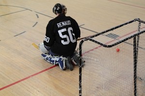 Skippy is not totally out of the Tomcat line up for 2015-16.  His playing time was                                        down and the Tomcats need someone to be the third net minder, so Skippy                                       is relegated to part time (where he kind of was anyway) and Shack is brought in as                                       the third goalie.